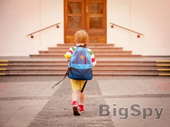 View More Best Fit Florida Ads On BigSpy