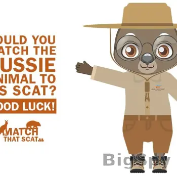 View More A fight for survival Ads On BigSpy
