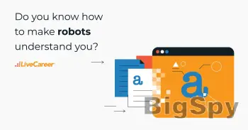 View More LiveCareer: Professional Resume Services from the Experts Ads On BigSpy