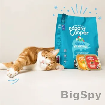 View More Edgard & Cooper: Naturally Tasty Cat & Dog Food Ads On BigSpy