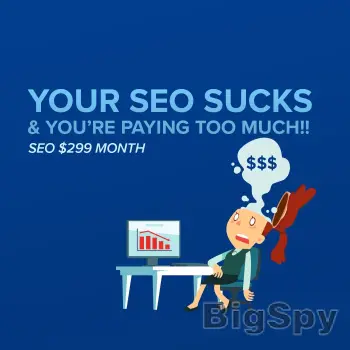 View More Small Business SEO | SEO for Businesses | Kick Ass SEO $299 Month Ads On BigSpy