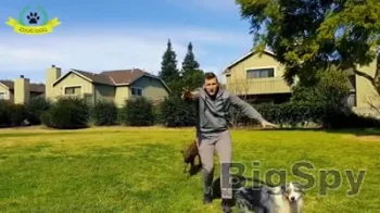 View More Educ Dog - Home Page Ads On BigSpy