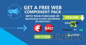 View More Fast Cross-Platform App Development Software - Embarcadero Ads On BigSpy