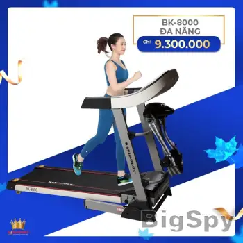 View More kingsport.vn Ads On BigSpy