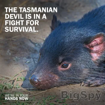 View More A fight for survival Ads On BigSpy