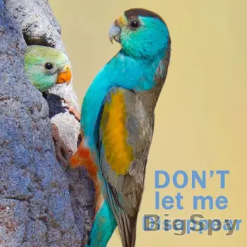 View More Bush Heritage Australia Ads On BigSpy
