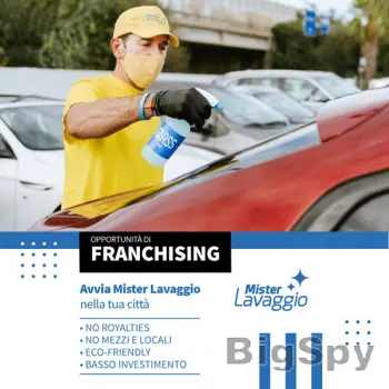 View More Mister Lavaggio Ads On BigSpy