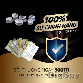 View More Trung Tâm Nha Khoa Thẩm Mỹ ST Dentist Ads On BigSpy