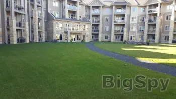 View More Lawn Care and Property Maintenance Services in Winnipeg MB Ads On BigSpy