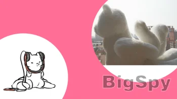 View More wednesday bus Ads On BigSpy