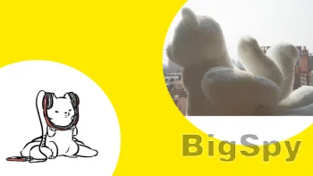 View More wednesday bus Ads On BigSpy