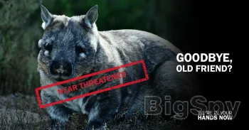 View More A fight for survival Ads On BigSpy