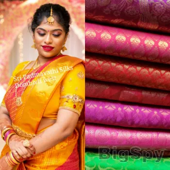 View More Sri Padmavathi Silks Ads On BigSpy