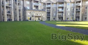 View More Lawn Care and Property Maintenance Services in Winnipeg MB Ads On BigSpy