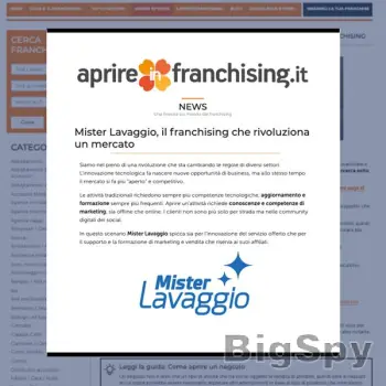 View More Lavaggio Auto a Domicilio di qualità - Mister Lavaggio Ads On BigSpy