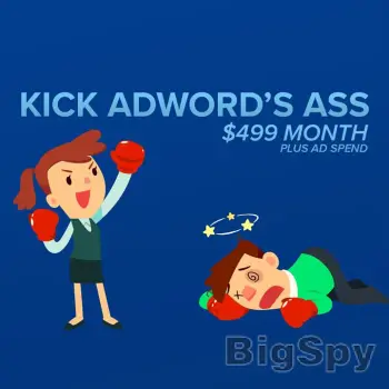 View More Small Business SEO | SEO for Businesses | Kick Ass SEO $299 Month Ads On BigSpy