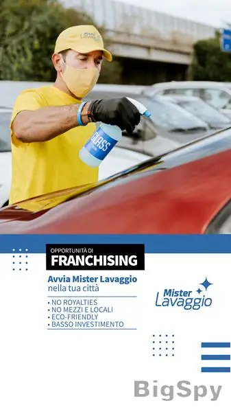 View More Lavaggio Auto a Domicilio di qualità - Mister Lavaggio Ads On BigSpy