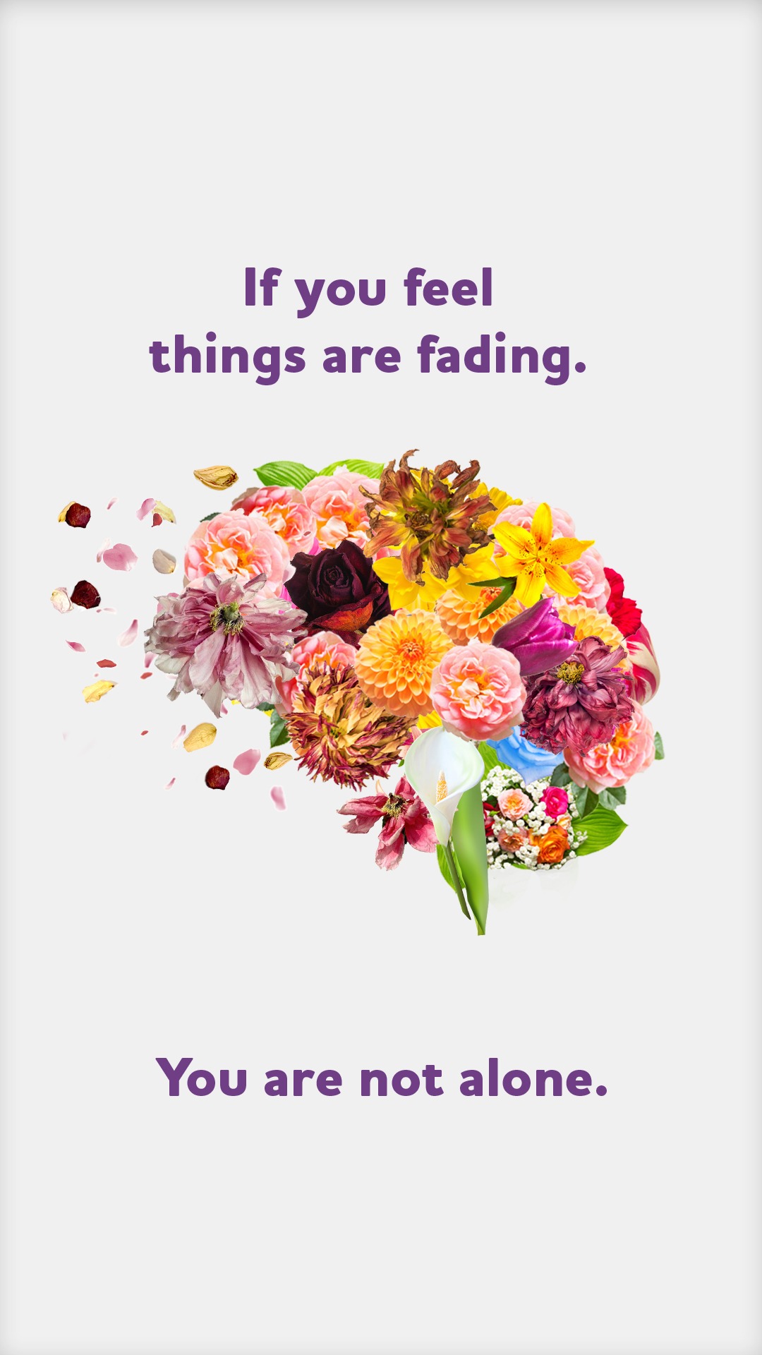 get_the_best_Alzheimer'S Disease_ad