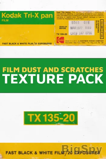 View More Master Filmmaker Ads On BigSpy