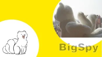 View More wednesday bus Ads On BigSpy