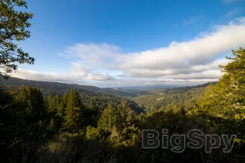 View More Better Place Forests Ads On BigSpy