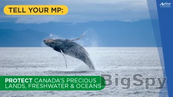 View More Home - Engaging Networks Ads On BigSpy