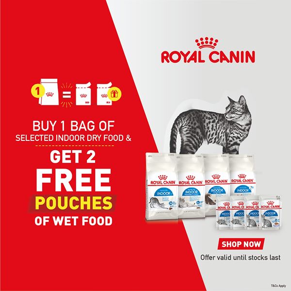 Royal hotsell canin commercial