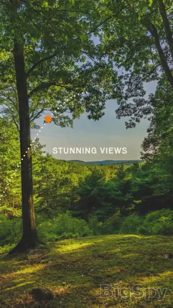 View More Leave the earth, better - Better Place Forests Ads On BigSpy