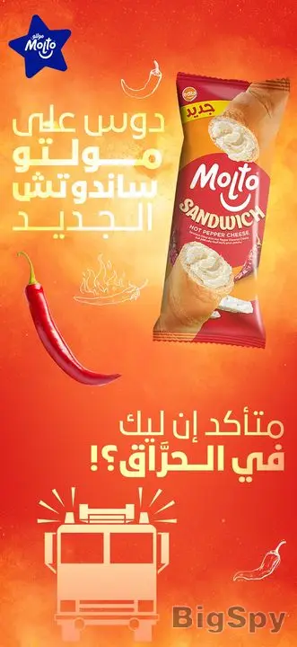 View More Molto Egypt Ads On BigSpy