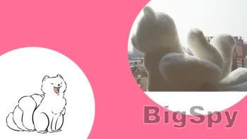 View More wednesday bus Ads On BigSpy