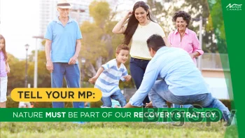 View More Home - Engaging Networks Ads On BigSpy