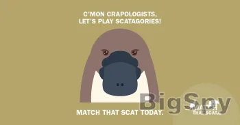 View More A fight for survival Ads On BigSpy