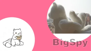 View More wednesday bus Ads On BigSpy