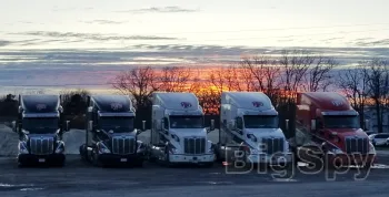 View More Company Driver Trucking Jobs | Woody Bogler Trucking Co Ads On BigSpy