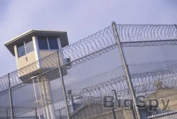View More CriminalJusticeHub – Start Today Ads On BigSpy