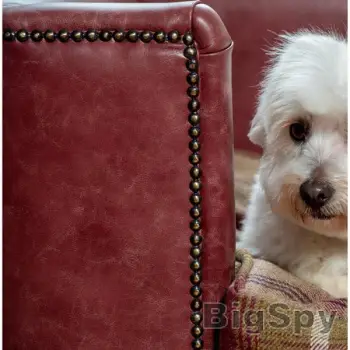 View More Luxury Products for Dogs & Cats | Lords & Labradors Ads On BigSpy