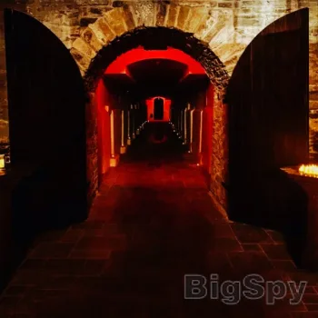 View More Discover the best Events in your City and Book Tickets - Fever Ads On BigSpy