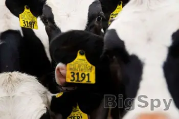 View More Home | IER Indiana Environmental Reporter Ads On BigSpy