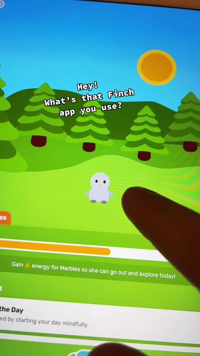 finchselfcarewidgetpet TikTok AdsBest TikTok Ads Examples