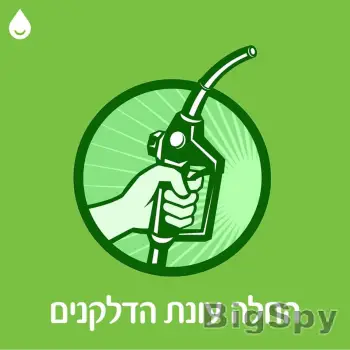 View More Pumpi | דלקן | דלקן Pumpi - Pumpi דלקן אוניברסלי Ads On BigSpy