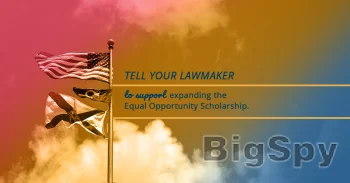View More k-12 Scholarship Programs in Florida | My Choices in Ed FL Ads On BigSpy