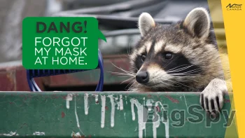 View More Home - Engaging Networks Ads On BigSpy