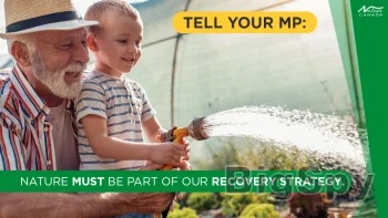 View More Home - Engaging Networks Ads On BigSpy