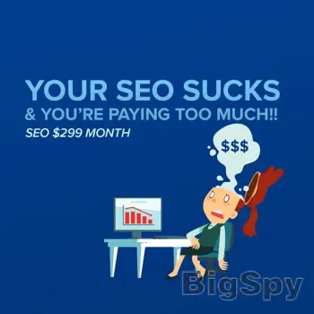 View More Small Business SEO | SEO for Businesses | Kick Ass SEO $299 Month Ads On BigSpy