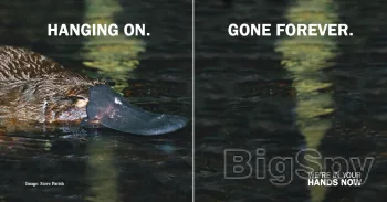 View More A fight for survival Ads On BigSpy