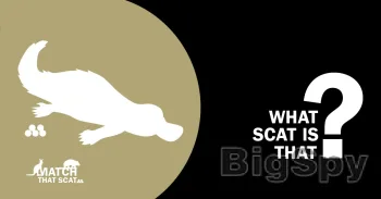 View More A fight for survival Ads On BigSpy