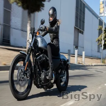 View More Harley-Davidson USA Ads On BigSpy