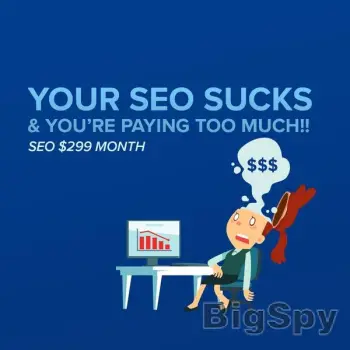 View More Small Business SEO | SEO for Businesses | Kick Ass SEO $299 Month Ads On BigSpy