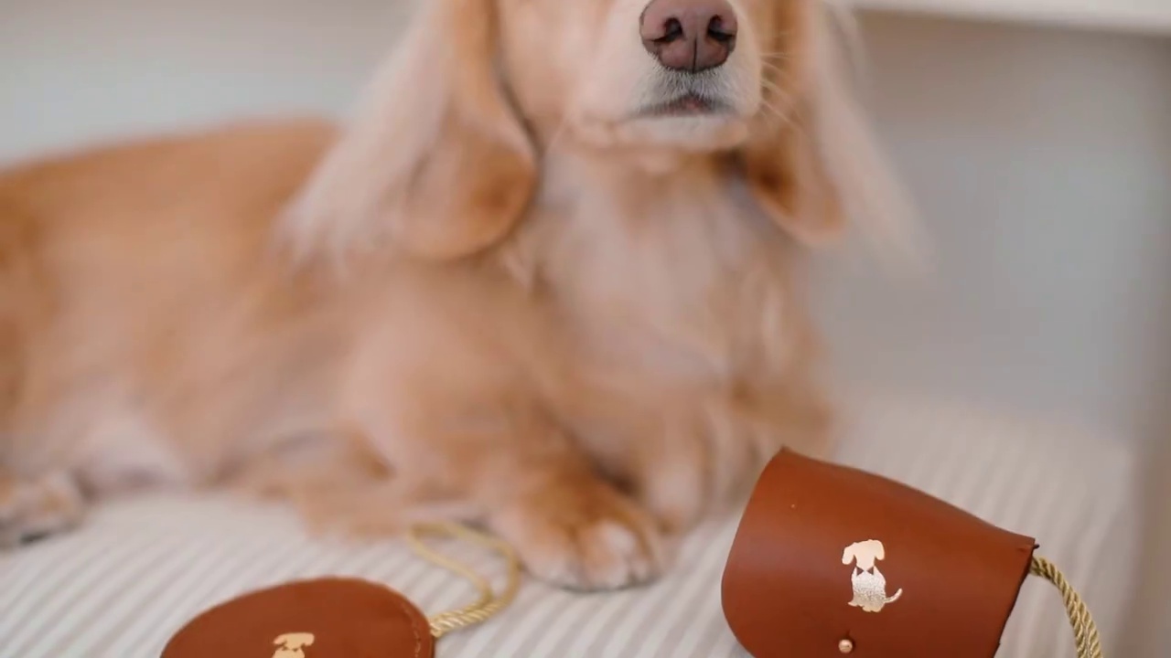 get_the_best_Accessories_ad