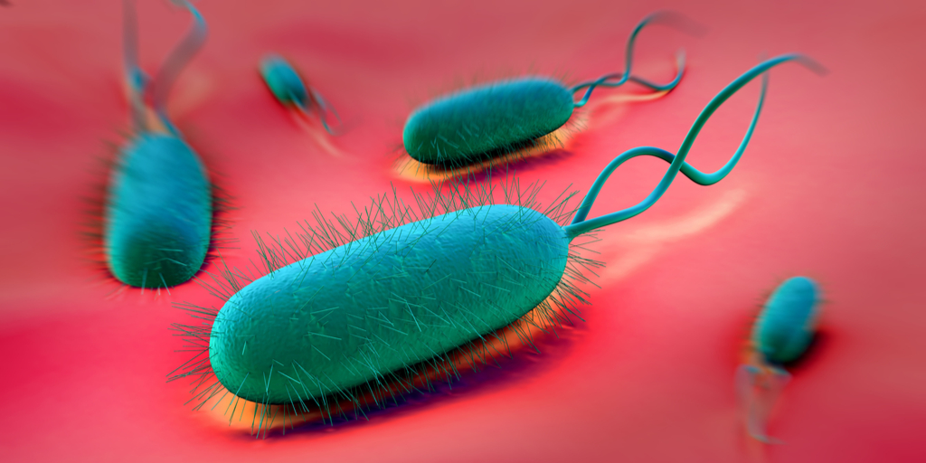 get_the_best_H Pylori Infection_ad